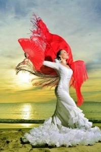 flamencaplaya - What do flamencas do at the end of summer?