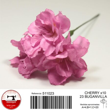 cherry 21 - CHERRY CHERRY BLOSSOM 21