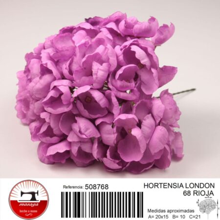 hortensia london 13 - FLOWER HYDRANGEA LONDON 13