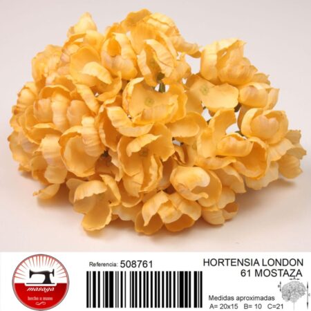 hortensia london 16 - FLOWER HYDRANGEA LONDON 16