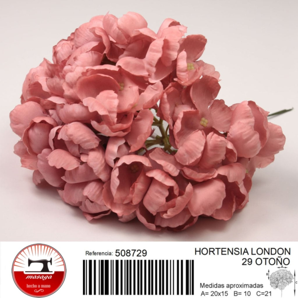 hortensia london 25 - FLOWER HYDRANGEA LONDON 25