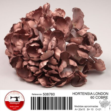 hortensia london 29 - FLOWER HYDRANGEA LONDON 29