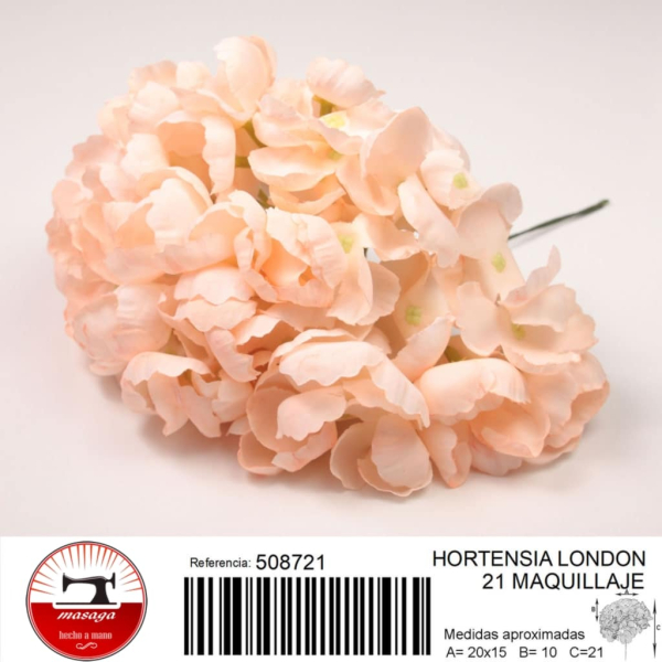 hortensia london 31 - FLOWER HYDRANGEA LONDON 31
